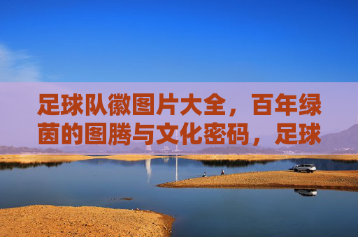 足球队徽图片大全，百年绿茵的图腾与文化密码，足球队徽，百年绿茵的图腾与文化密码
