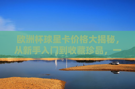 欧洲杯球星卡价格大揭秘,从新手入门到收藏珍品,一张多少钱? 欧洲杯球星卡价格大揭秘,从新手入门到收藏珍品,一张多少钱?