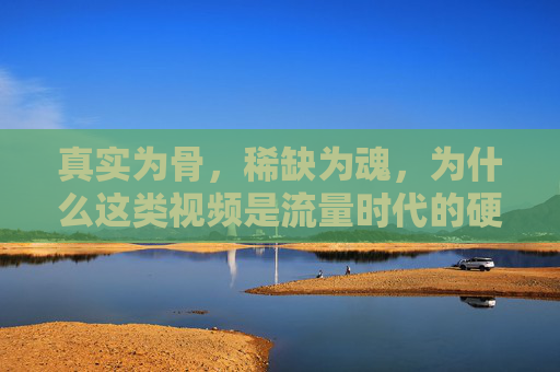 真实为骨,稀缺为魂,为什么这类视频是流量时代的硬通货?真实为骨,稀缺为魂,流量时代的硬通货 真实为骨,稀缺为魂,为什么这类视频是流量时代的硬通货?真实为骨,稀缺为魂,流量时代的硬通货