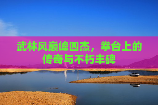 武林风巅峰四杰,拳台上的传奇与不朽丰碑 武林风巅峰四杰,拳台上的传奇与不朽丰碑