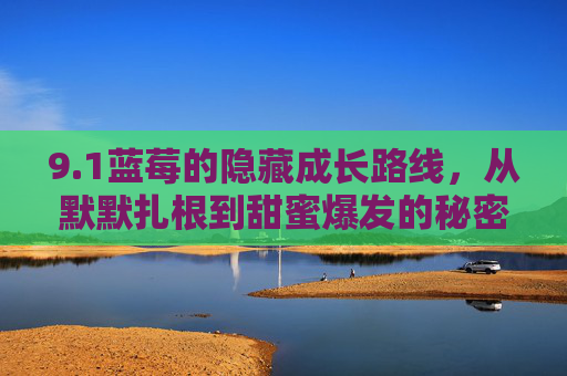 9.1蓝莓的隐藏成长路线,从默默扎根到甜蜜爆发的秘密档案,蓝莓隐秘成长档案,从扎根到甜蜜爆发 9.1蓝莓的隐藏成长路线,从默默扎根到甜蜜爆发的秘密档案,蓝莓隐秘成长档案,从扎根到甜蜜爆发