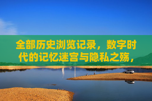 全部历史浏览记录，数字时代的记忆迷宫与隐私之殇，数字时代的记忆迷宫与隐私之殇