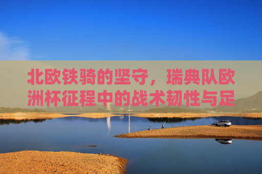 北欧铁骑的坚守，瑞典队欧洲杯征程中的战术韧性与足球哲学，北欧铁骑的坚守，瑞典队欧洲杯的战术韧性哲学