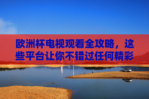 欧洲杯电视观看全攻略，这些平台让你不错过任何精彩瞬间，欧洲杯电视观看平台全攻略