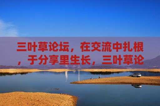 三叶草论坛，在交流中扎根，于分享里生长，三叶草论坛，交流扎根，分享生长
