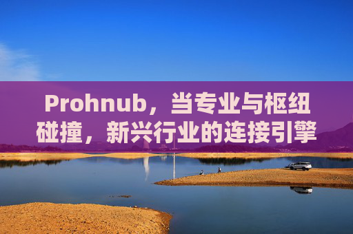 Prohnub,当专业与枢纽碰撞,新兴行业的连接引擎,Prohnub,专业枢纽碰撞,新兴行业连接引擎 Prohnub,当专业与枢纽碰撞,新兴行业的连接引擎,Prohnub,专业枢纽碰撞,新兴行业连接引擎