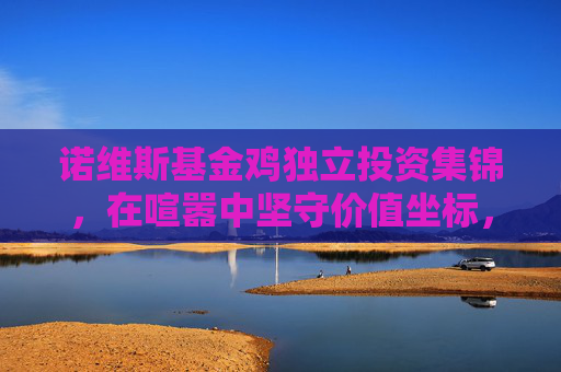 诺维斯基金鸡独立投资集锦,在喧嚣中坚守价值坐标,诺维斯基金独立投资,喧嚣中锚定价值坐标 诺维斯基金鸡独立投资集锦,在喧嚣中坚守价值坐标,诺维斯基金独立投资,喧嚣中锚定价值坐标