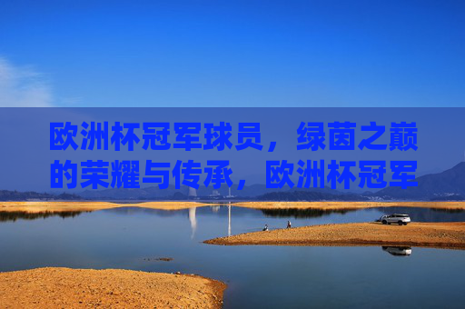 欧洲杯冠军球员,绿茵之巅的荣耀与传承,欧洲杯冠军球员,绿茵之巅的荣耀与传承 欧洲杯冠军球员,绿茵之巅的荣耀与传承,欧洲杯冠军球员,绿茵之巅的荣耀与传承