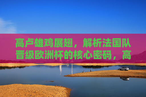 高卢雄鸡展翅,解析法国队晋级欧洲杯的核心密码,高卢雄鸡展翅晋级,欧洲杯核心密码 高卢雄鸡展翅,解析法国队晋级欧洲杯的核心密码,高卢雄鸡展翅晋级,欧洲杯核心密码