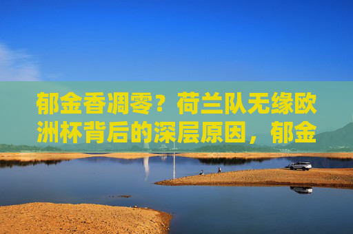 郁金香凋零？荷兰队无缘欧洲杯背后的深层原因，郁金香凋零，荷兰队无缘欧洲杯的深层原因