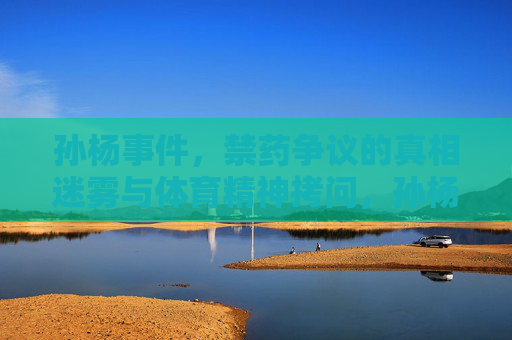 孙杨事件,禁药争议的真相迷雾与体育精神拷问,孙杨禁药争议,真相迷雾与体育精神拷问 孙杨事件,禁药争议的真相迷雾与体育精神拷问,孙杨禁药争议,真相迷雾与体育精神拷问