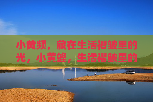 小黄频,藏在生活褶皱里的光,小黄蜂,生活褶皱里的光 小黄频,藏在生活褶皱里的光,小黄蜂,生活褶皱里的光