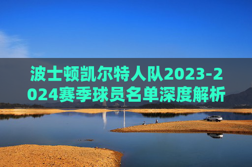 波士顿凯尔特人队2023-2024赛季球员名单深度解析，争冠阵容的攻防密码，波士顿凯尔特人2023-2024赛季，争冠阵容攻防密码深度解析