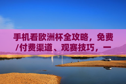 手机看欧洲杯全攻略,免费/付费渠道、观赛技巧,一文搞定!手机看欧洲杯全攻略,免费/付费渠道+观赛技巧,一文搞定! 手机看欧洲杯全攻略,免费/付费渠道、观赛技巧,一文搞定!手机看欧洲杯全攻略,免费/付费渠道+观赛技巧,一文搞定!
