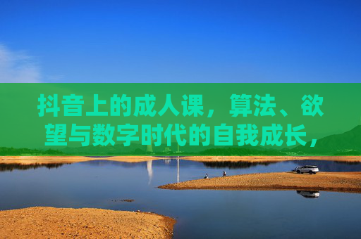 抖音上的成人课,算法、欲望与数字时代的自我成长,数字时代的成人课,抖音算法、欲望与自我成长 抖音上的成人课,算法、欲望与数字时代的自我成长,数字时代的成人课,抖音算法、欲望与自我成长
