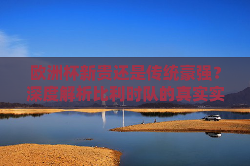 欧洲杯新贵还是传统豪强？深度解析比利时队的真实实力，欧洲杯新贵还是传统豪强？比利时队真实实力解析