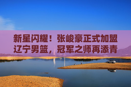新星闪耀！张峻豪正式加盟辽宁男篮，冠军之师再添青春活力，新星张峻豪加盟辽宁男篮，冠军之师再添青春活力