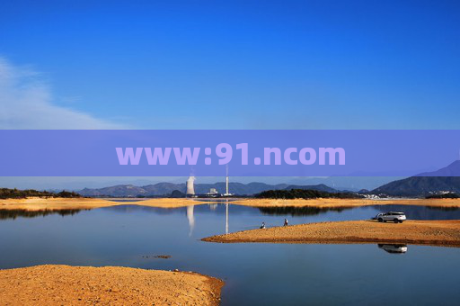 www:91.ncom www:91.ncom