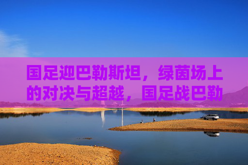 国足迎巴勒斯坦,绿茵场上的对决与超越,国足战巴勒斯坦,绿茵对决与超越 国足迎巴勒斯坦,绿茵场上的对决与超越,国足战巴勒斯坦,绿茵对决与超越