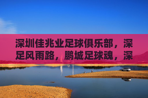 深圳佳兆业足球俱乐部，深足风雨路，鹏城足球魂，深足风雨路，鹏城足球魂