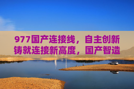 977国产连接线，自主创新铸就连接新高度，国产智造的可靠纽带，977国产连接线，自主创新铸就国产智造新高度