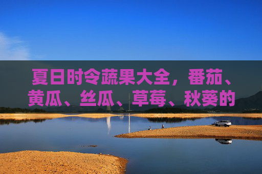 夏日时令蔬果大全，番茄、黄瓜、丝瓜、草莓、秋葵的美味与营养指南，夏日时令蔬果大全，美味与营养指南