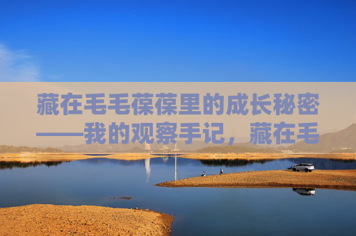 藏在毛毛葆葆里的成长秘密——我的观察手记,藏在毛毛葆葆中的成长观察手记 藏在毛毛葆葆里的成长秘密——我的观察手记,藏在毛毛葆葆中的成长观察手记