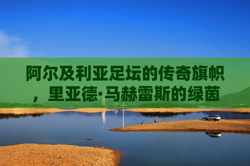 阿尔及利亚足坛的传奇旗帜,里亚德·马赫雷斯的绿茵征程,阿尔及利亚传奇旗帜马赫雷斯的绿茵征程 阿尔及利亚足坛的传奇旗帜,里亚德·马赫雷斯的绿茵征程,阿尔及利亚传奇旗帜马赫雷斯的绿茵征程