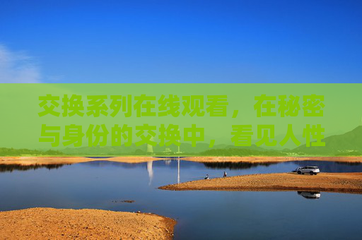 交换系列在线观看，在秘密与身份的交换中，看见人性的褶皱，交换系列，在身份秘密的褶皱里，窥见人性