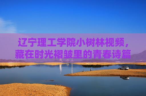 辽宁理工学院小树林视频，藏在时光褶皱里的青春诗篇，辽宁理工学院小树林，藏在时光褶皱里的青春诗篇