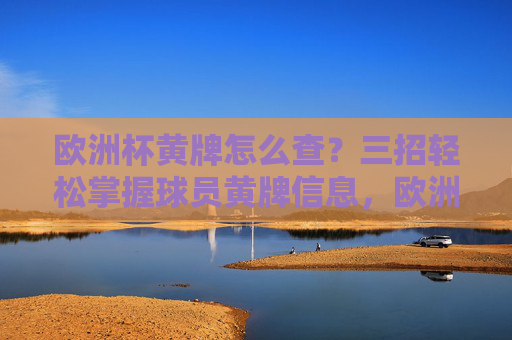 欧洲杯黄牌怎么查？三招轻松掌握球员黄牌信息，欧洲杯黄牌查询三招，轻松掌握球员黄牌信息