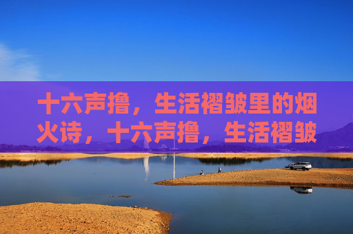 十六声撸，生活褶皱里的烟火诗，十六声撸，生活褶皱里的烟火诗