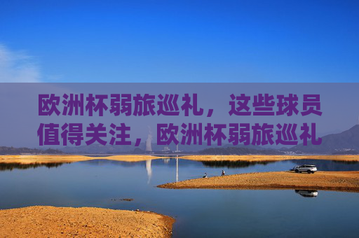 欧洲杯弱旅巡礼，这些球员值得关注，欧洲杯弱旅巡礼，这些球员值得关注