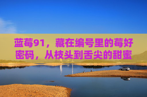 蓝莓91，藏在编号里的莓好密码，从枝头到舌尖的甜蜜之旅，蓝莓91，藏在编号里的莓好密码之旅