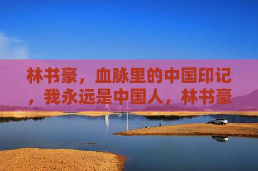林书豪，血脉里的中国印记，我永远是中国人，林书豪，血脉里的中国印记，我永远是中国人