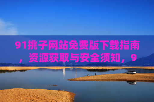 91挑子网站免费版下载指南，资源获取与安全须知，91挑子网站免费版下载指南，资源获取与安全须知