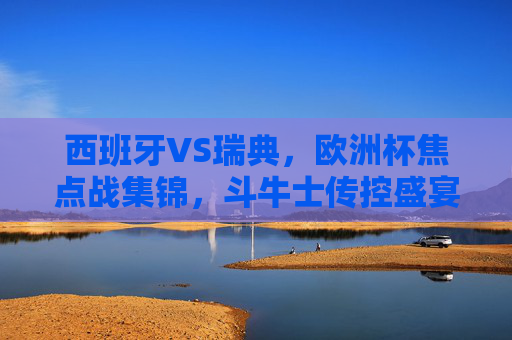 西班牙VS瑞典，欧洲杯焦点战集锦，斗牛士传控盛宴与北欧铁骑的顽强抗衡，欧洲杯焦点战，斗牛士传控盛宴与北欧铁骑顽强抗衡