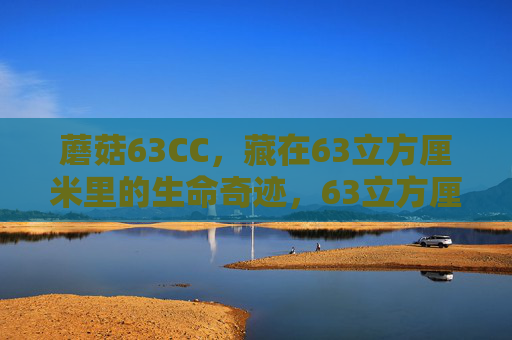 蘑菇63CC，藏在63立方厘米里的生命奇迹，63立方厘米里的蘑菇生命奇迹