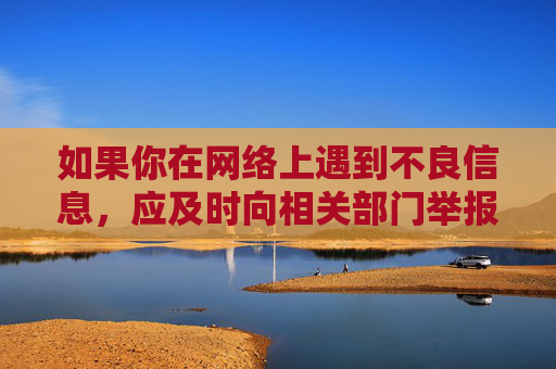 如果你在网络上遇到不良信息，应及时向相关部门举报，共同维护良好的网络秩序。让我们携手共建文明、健康、安全的网络空间，为社会的和谐发展贡献力量，举报不良信息 共建清朗网络