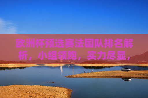 欧洲杯预选赛法国队排名解析，小组领跑，实力尽显，欧洲杯预选赛法国队领跑小组 实力尽显