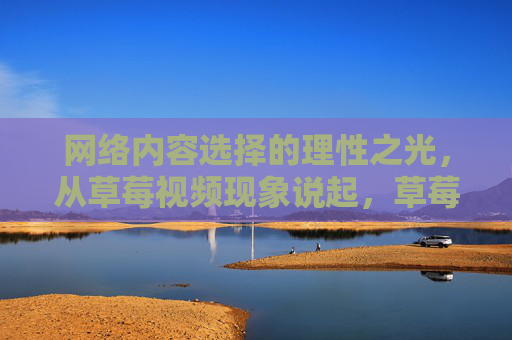 网络内容选择的理性之光，从草莓视频现象说起，草莓视频现象，网络内容选择的理性之光