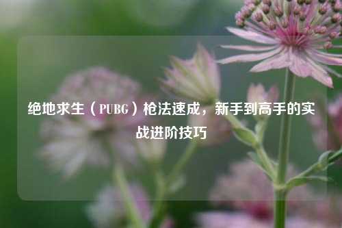 绝地求生（PUBG）枪法速成，新手到高手的实战进阶技巧