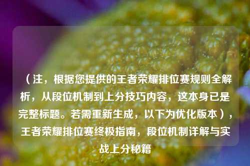 （注，根据您提供的王者荣耀排位赛规则全解析，从段位机制到上分技巧内容，这本身已是完整标题。若需重新生成，以下为优化版本），王者荣耀排位赛终极指南，段位机制详解与实战上分秘籍