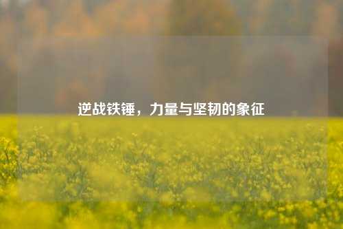 逆战铁锤，力量与坚韧的象征