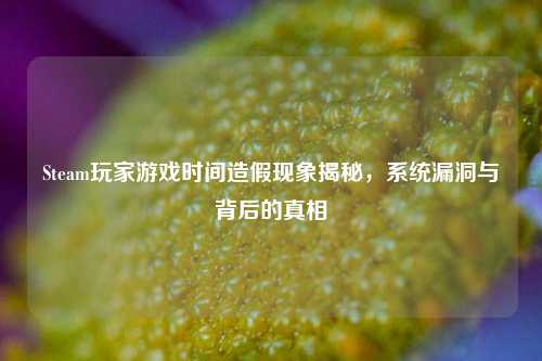 Steam玩家游戏时间造假现象揭秘，系统漏洞与背后的真相