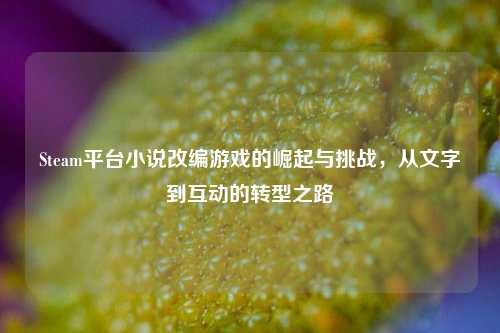 Steam平台小说改编游戏的崛起与挑战，从文字到互动的转型之路