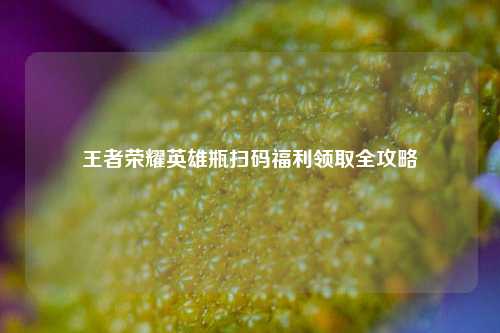 王者荣耀英雄瓶扫码福利领取全攻略