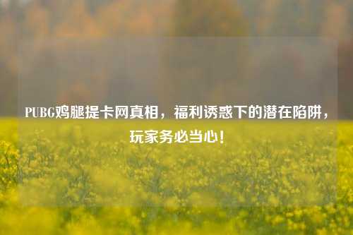 PUBG鸡腿提卡网真相，福利诱惑下的潜在陷阱，玩家务必当心！