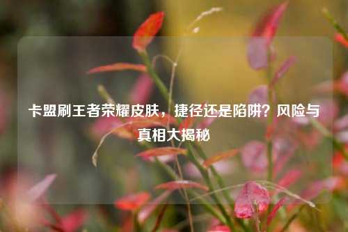 卡盟刷王者荣耀皮肤，捷径还是陷阱？风险与真相大揭秘