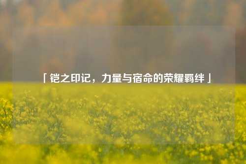 「铠之印记，力量与宿命的荣耀羁绊」